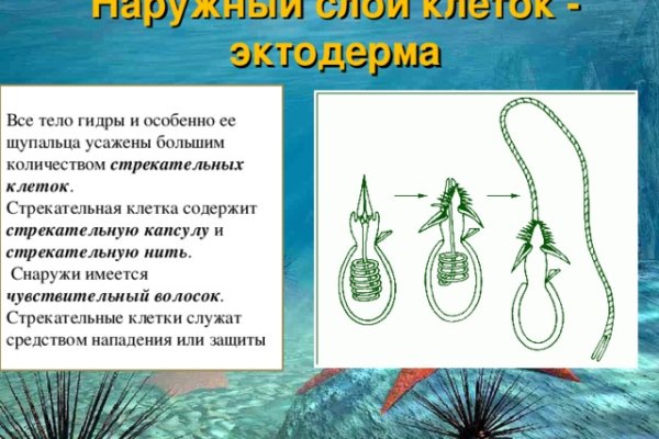 Кракен маркет тор