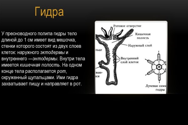 Кракен ссылка что это